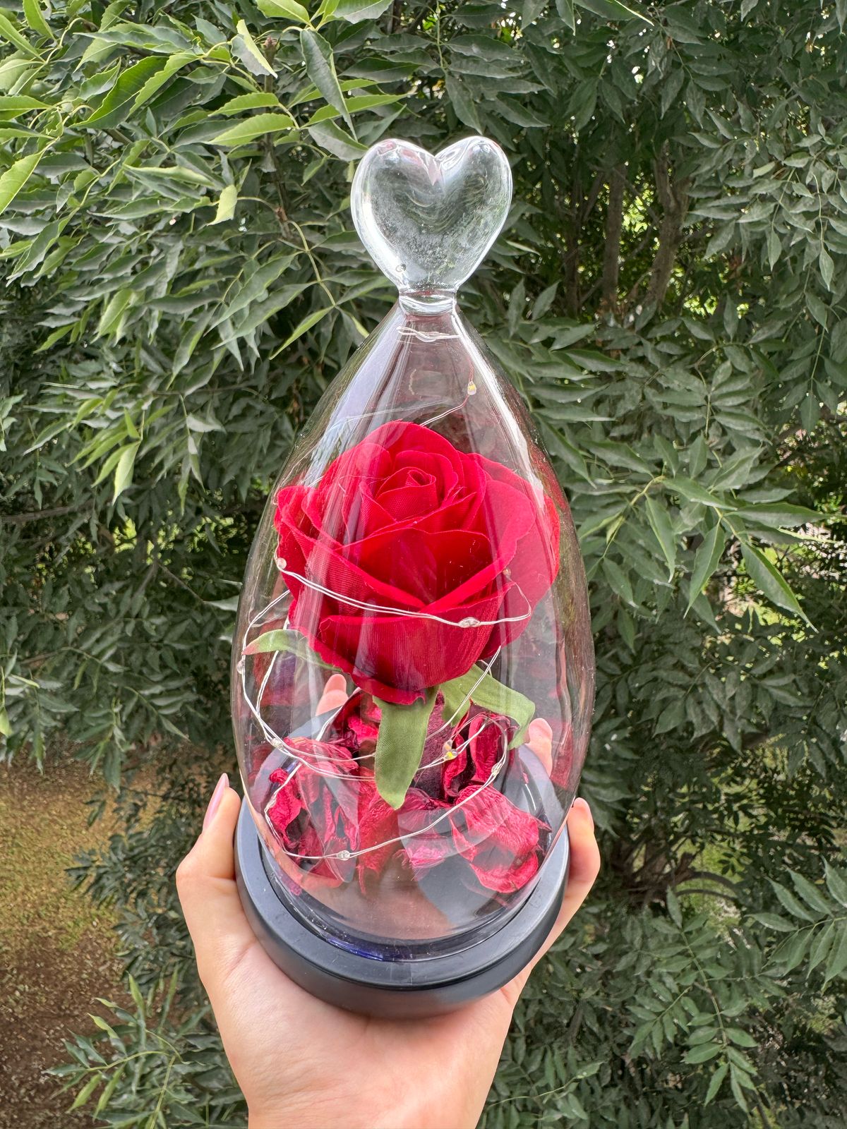 Rosa Eterna Musical en Cápsula de Cristal