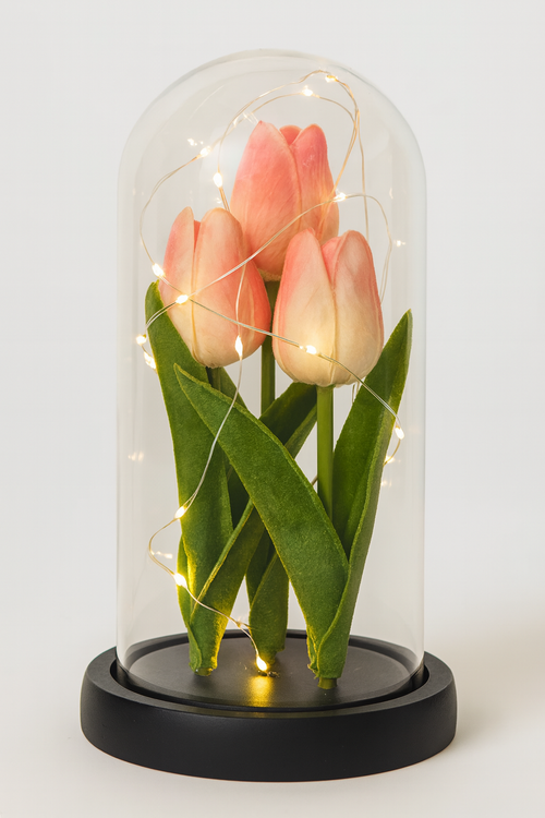 CUPULA DECORATIVA DE TULIPANES ETERNOS